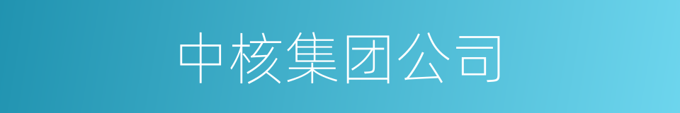 中核集团公司的同义词