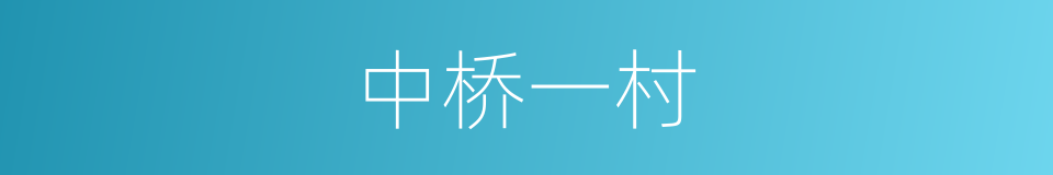 中桥一村的同义词