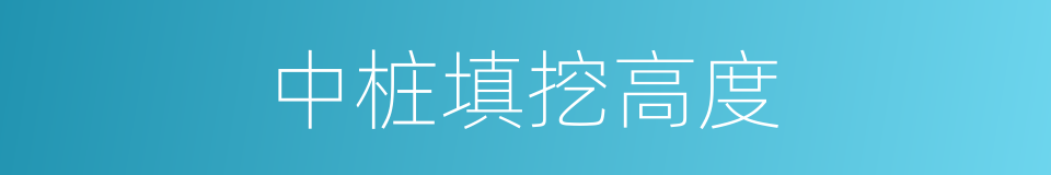 中桩填挖高度的同义词