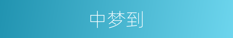 中梦到的同义词