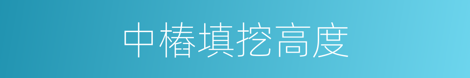 中樁填挖高度的同義詞