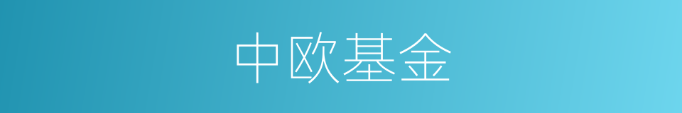 中欧基金的同义词