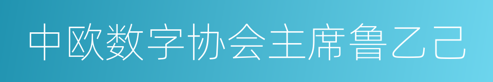 中欧数字协会主席鲁乙己的同义词