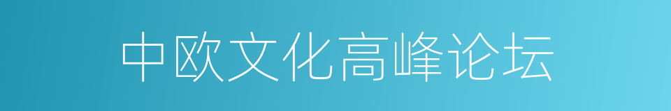 中欧文化高峰论坛的同义词