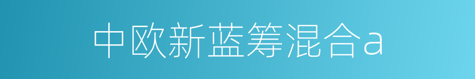 中欧新蓝筹混合a的同义词