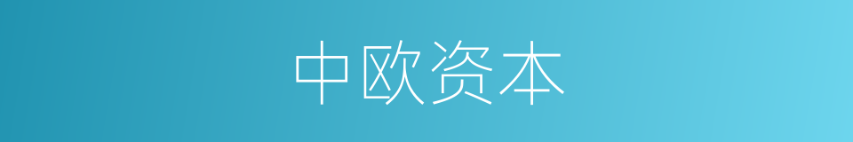 中欧资本的同义词
