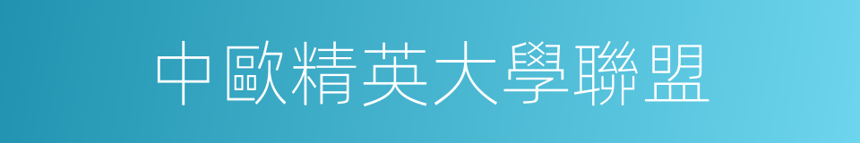 中歐精英大學聯盟的同義詞