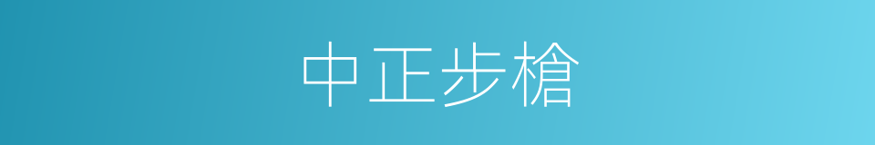 中正步槍的同義詞