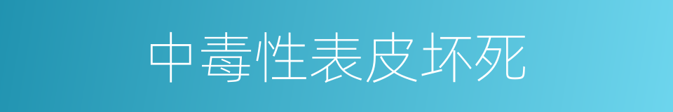 中毒性表皮坏死的同义词