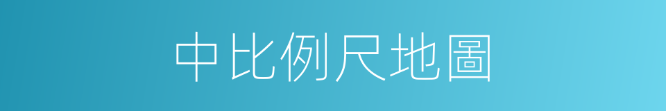 中比例尺地圖的同義詞