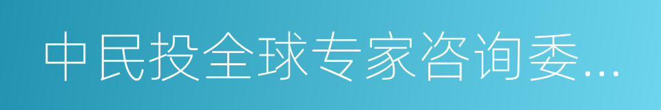 中民投全球专家咨询委员会的同义词