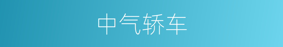 中气轿车的同义词