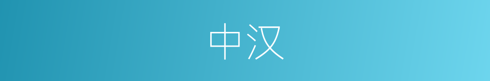 中汉的意思