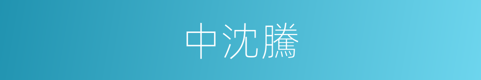 中沈騰的同義詞