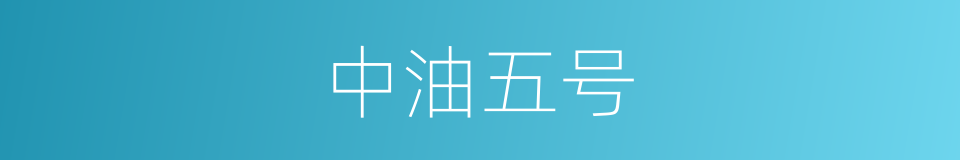中油五号的同义词