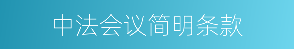 中法会议简明条款的同义词