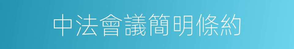 中法會議簡明條約的同義詞