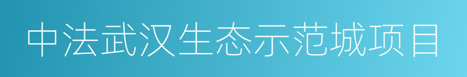 中法武汉生态示范城项目的同义词