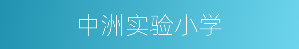 中洲实验小学的同义词