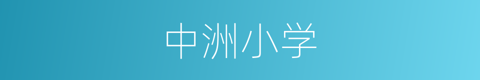 中洲小学的同义词