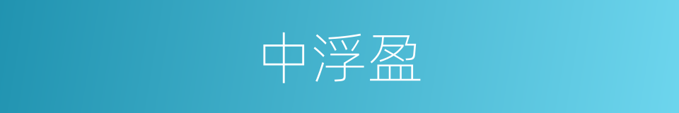 中浮盈的同义词