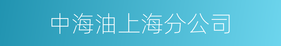 中海油上海分公司的同义词