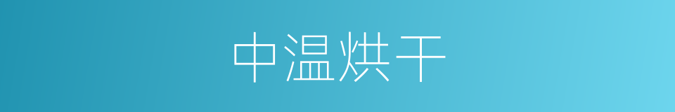 中温烘干的同义词