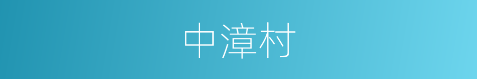 中漳村的同义词