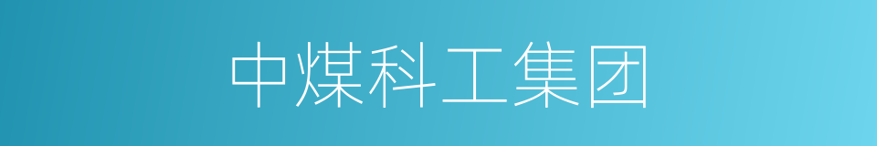 中煤科工集团的同义词