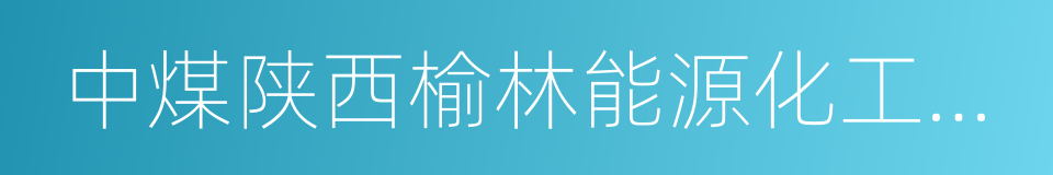 中煤陕西榆林能源化工有限公司的同义词