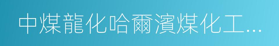 中煤龍化哈爾濱煤化工有限公司的同義詞
