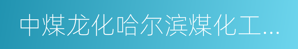 中煤龙化哈尔滨煤化工有限公司的同义词