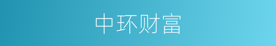 中环财富的同义词