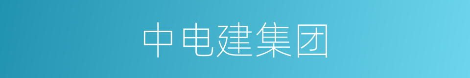 中电建集团的同义词