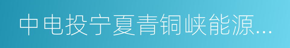 中电投宁夏青铜峡能源铝业集团有限公司的同义词