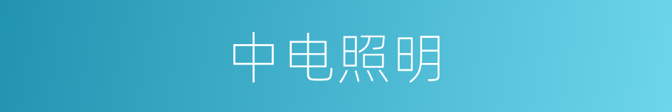 中电照明的同义词