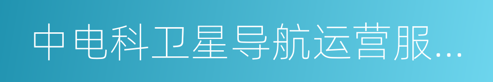 中电科卫星导航运营服务有限公司的同义词