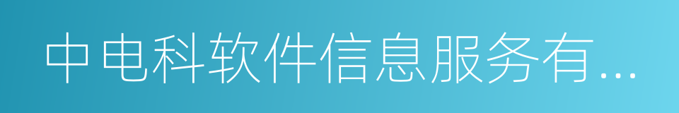 中电科软件信息服务有限公司的同义词