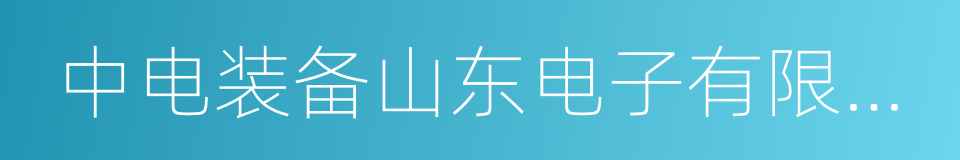 中电装备山东电子有限公司的同义词