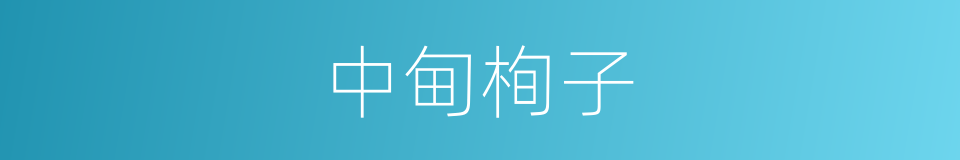 中甸栒子的同义词