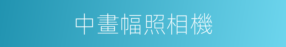中畫幅照相機的同義詞