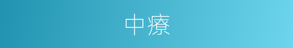 中療的同義詞