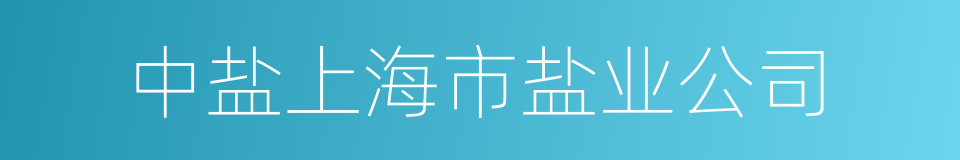 中盐上海市盐业公司的同义词