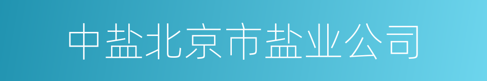 中盐北京市盐业公司的同义词