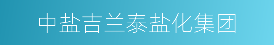 中盐吉兰泰盐化集团的同义词