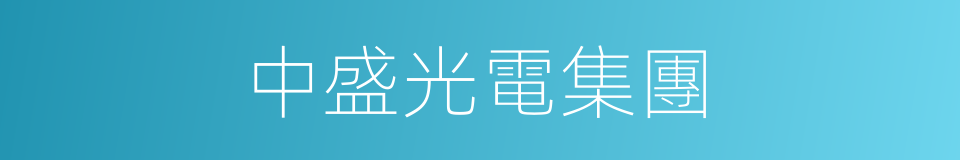 中盛光電集團的同義詞
