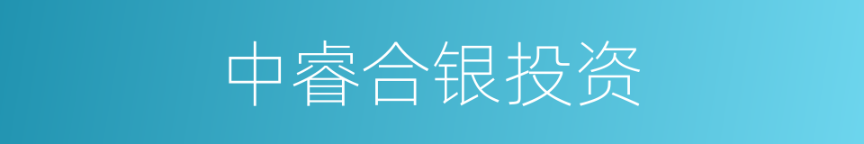 中睿合银投资的同义词