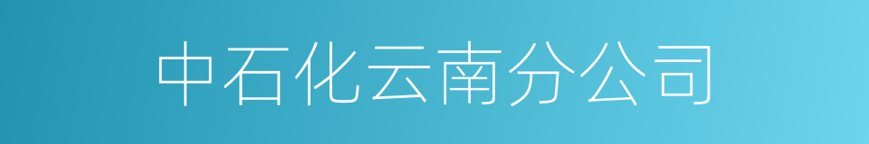 中石化云南分公司的同义词