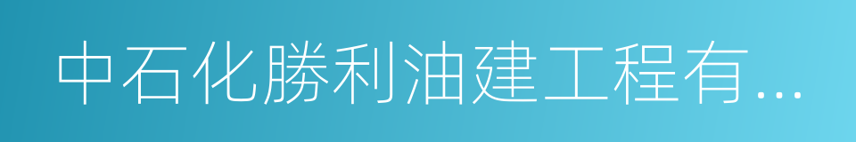 中石化勝利油建工程有限公司的同義詞