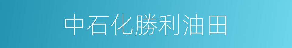 中石化勝利油田的同義詞